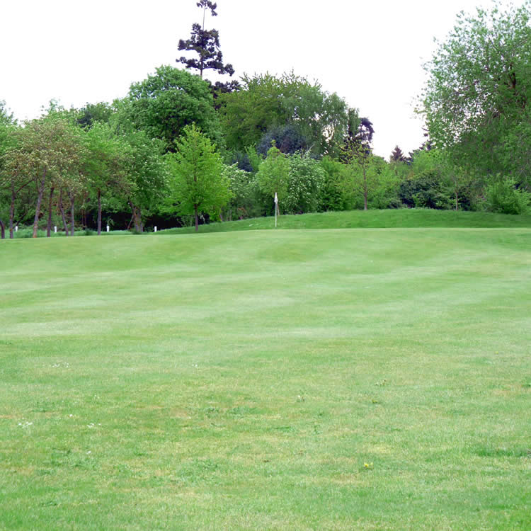 Iver Golf Club close to Shreding Green is a good test of golf. The parkland course layout and its elevations poses challenges on every single hole.