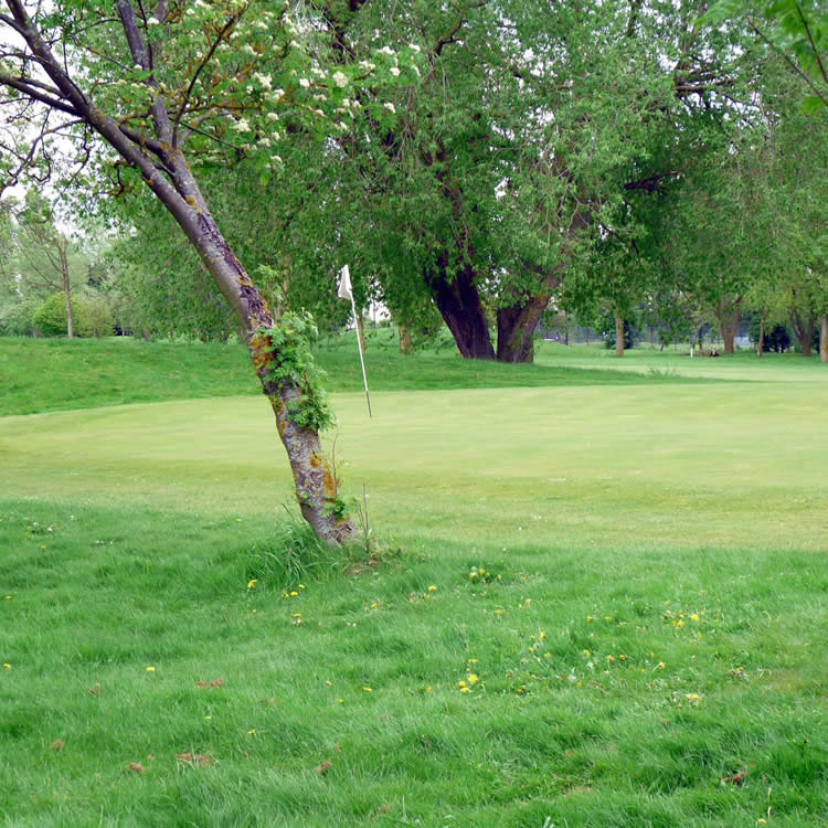 Positioned on the edge of George Green in the Ivers, Iver Golf Club offers panoramic views of South Buckinghamshire from every hole on the course.