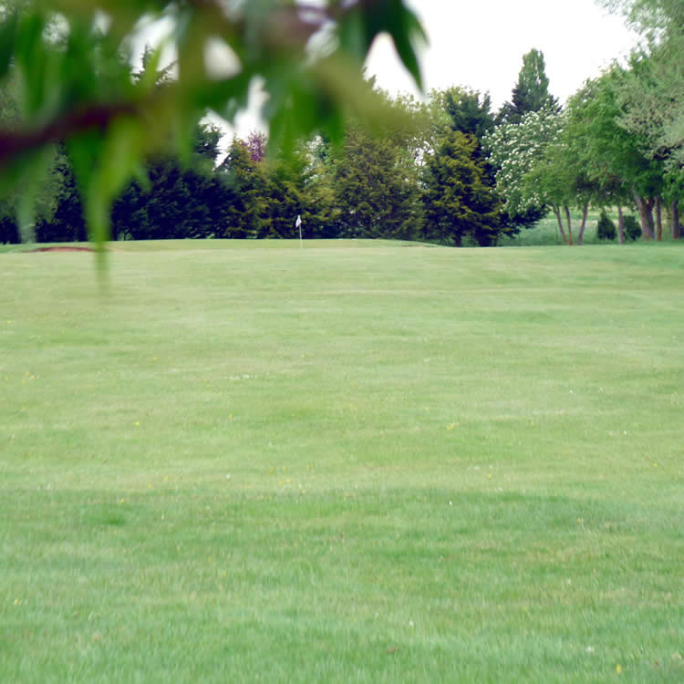 Our beautiful and undulating parkland course near Richings Park offers a varied test for all golfers in the bucolic Buckinghamshire surroundings.