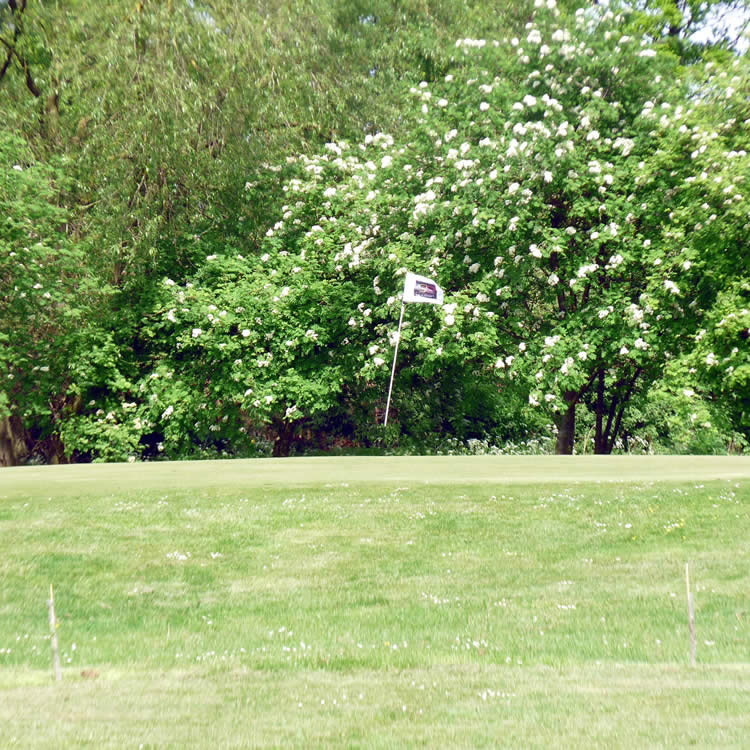 Close to Richings Park, Iver Golf is a mature nine-hole parkland golf course that provides a stern test of all aspects of the game.